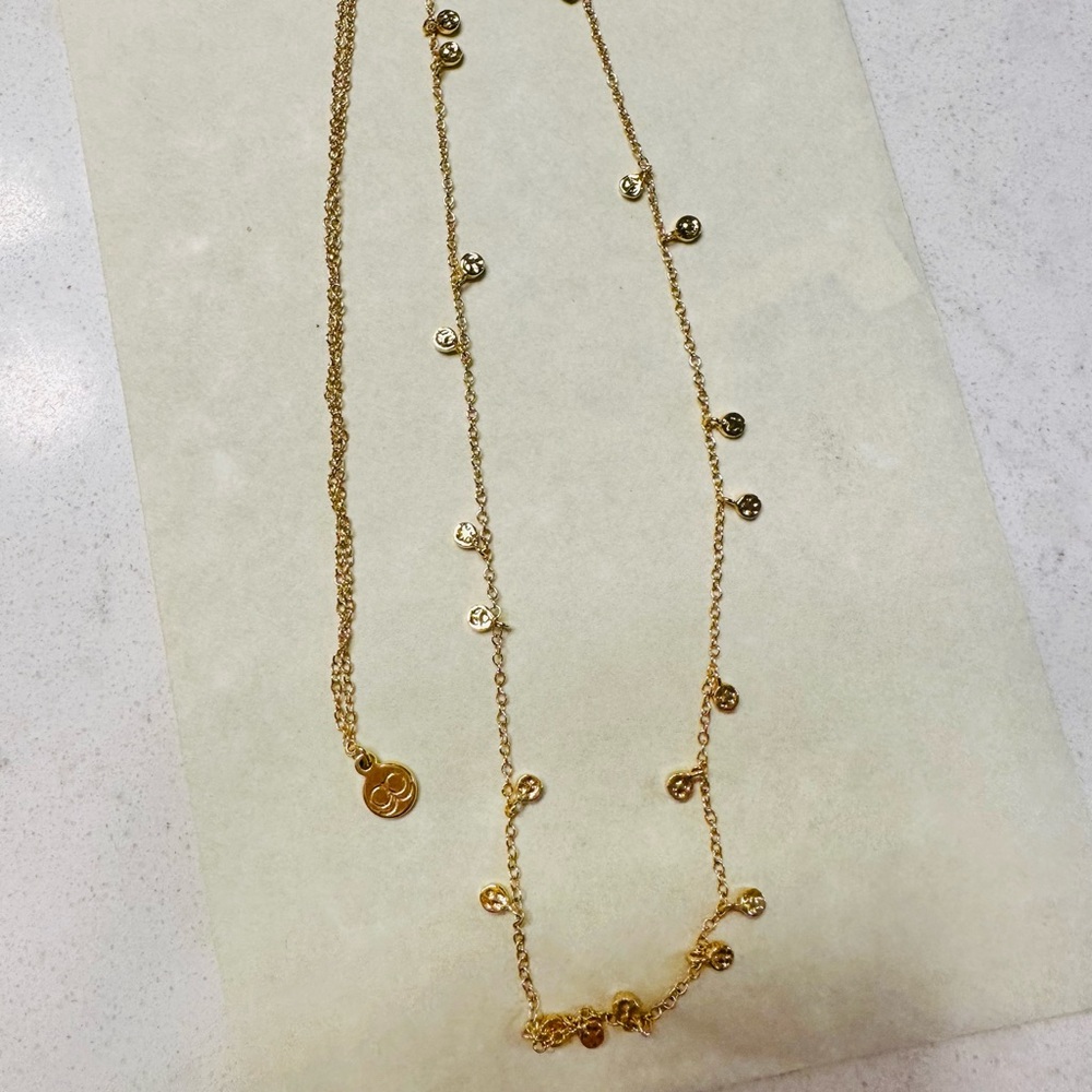 Gorjana necklace